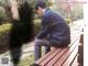 A man sitting on a wooden bench in a park.